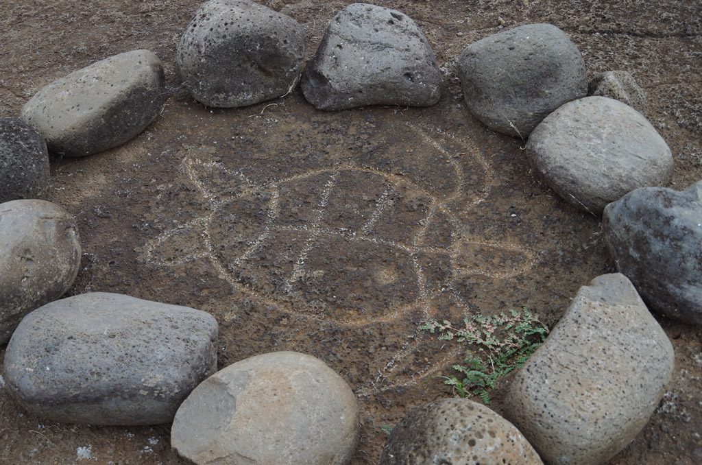 rapa_nui_rock_art_turtle.jpg